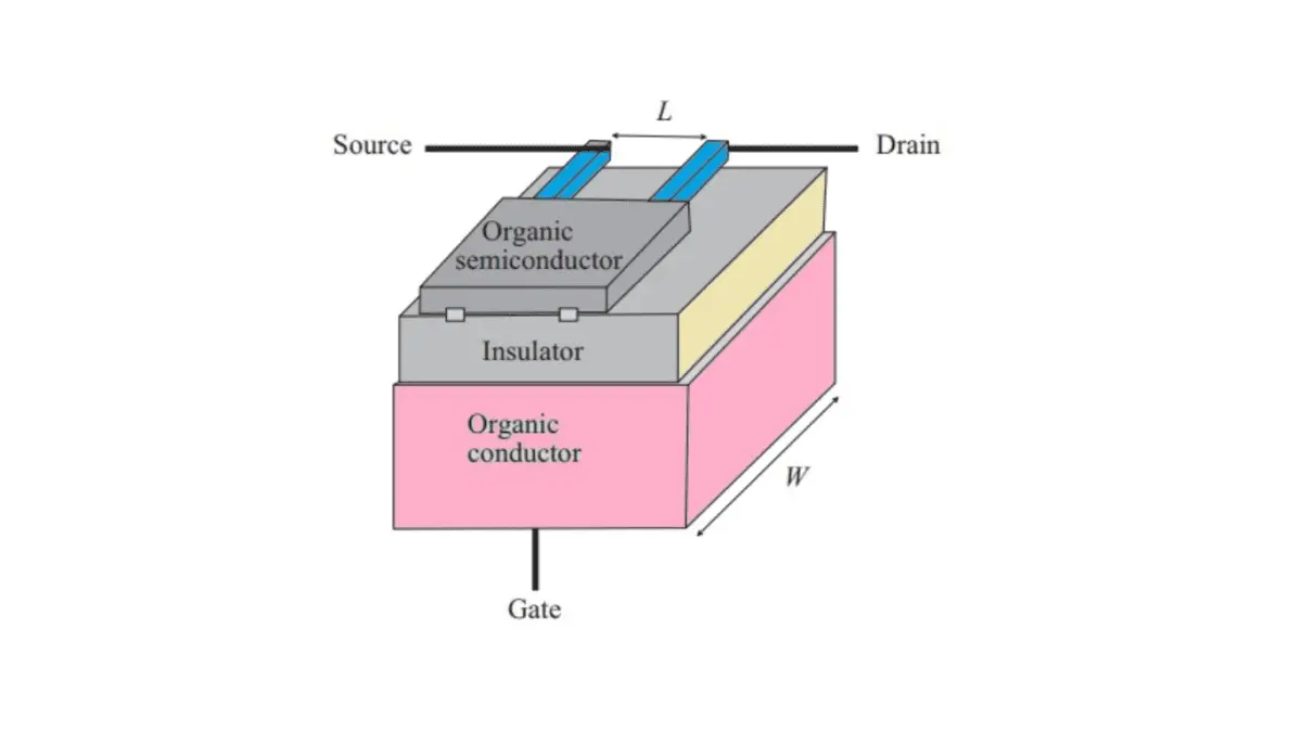 What are Organic Field Effect Transistor Siliconvlsi