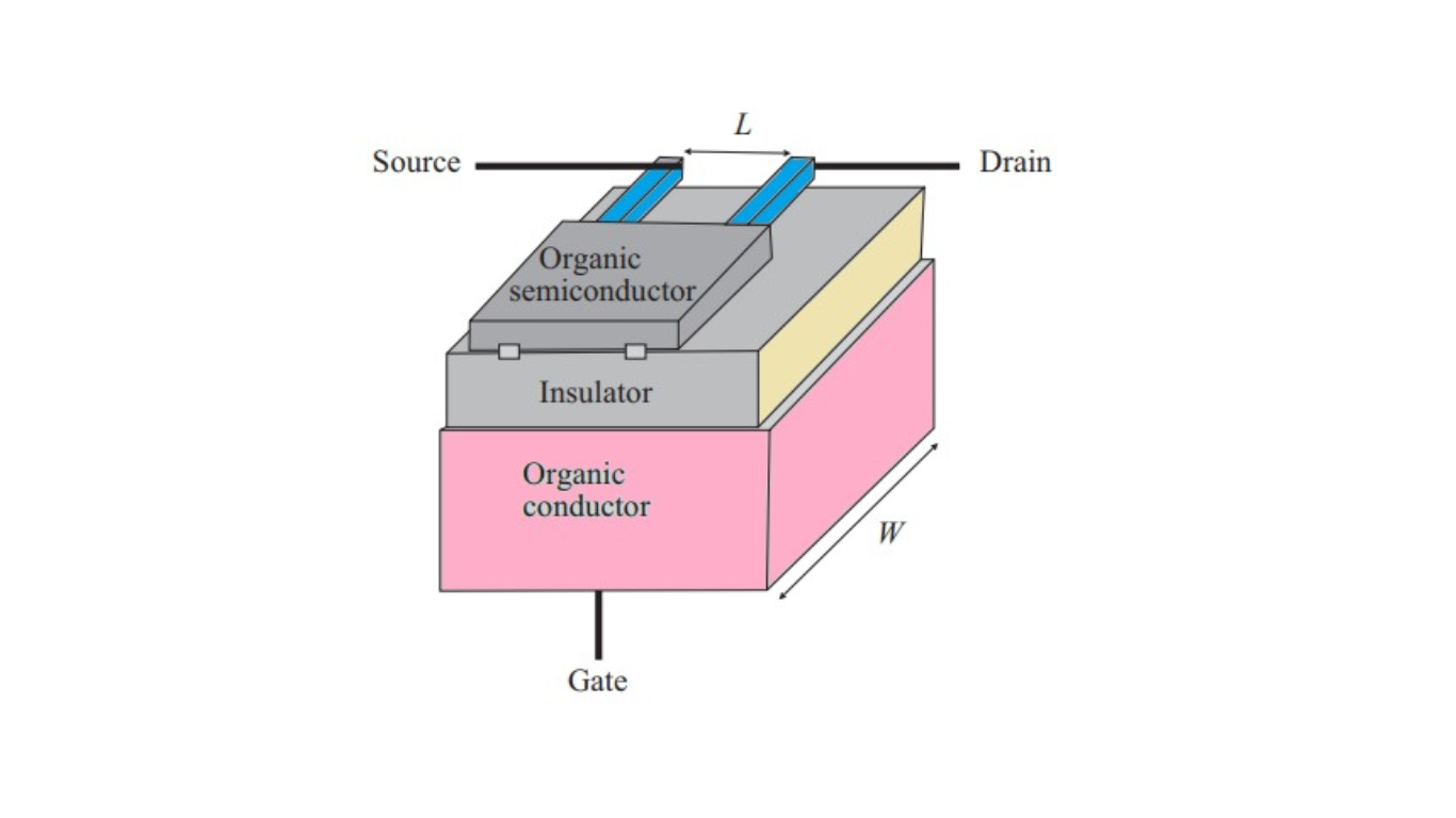 Organic Field Effect Transistor