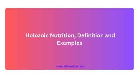 What is Holozoic Nutrition | Definition and Examples – Siliconvlsi